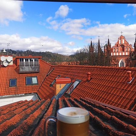 Private Sauna & 4 Bedrooms Old Town Rooftop Apartment วิลนีอุส ภายนอก รูปภาพ