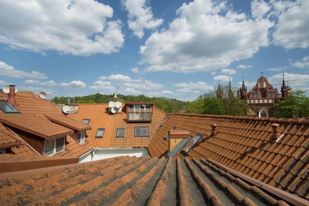 Private Sauna & 4 Bedrooms Old Town Rooftop Apartment วิลนีอุส ภายนอก รูปภาพ